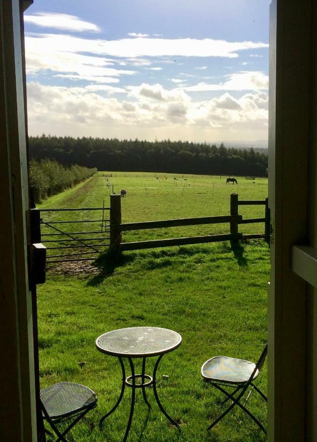 Shepherd'S Hut Hotel Blandford Forum Exterior photo