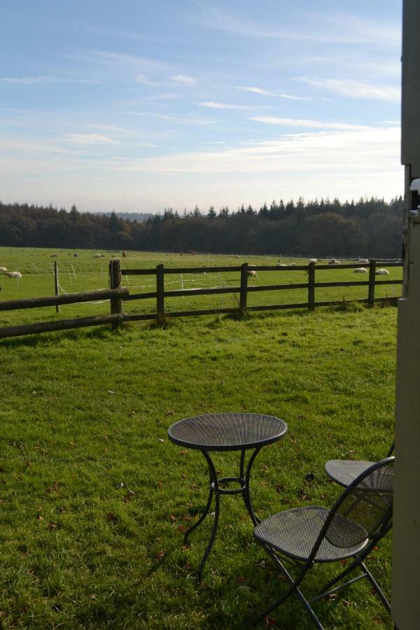 Shepherd'S Hut Hotel Blandford Forum Exterior photo