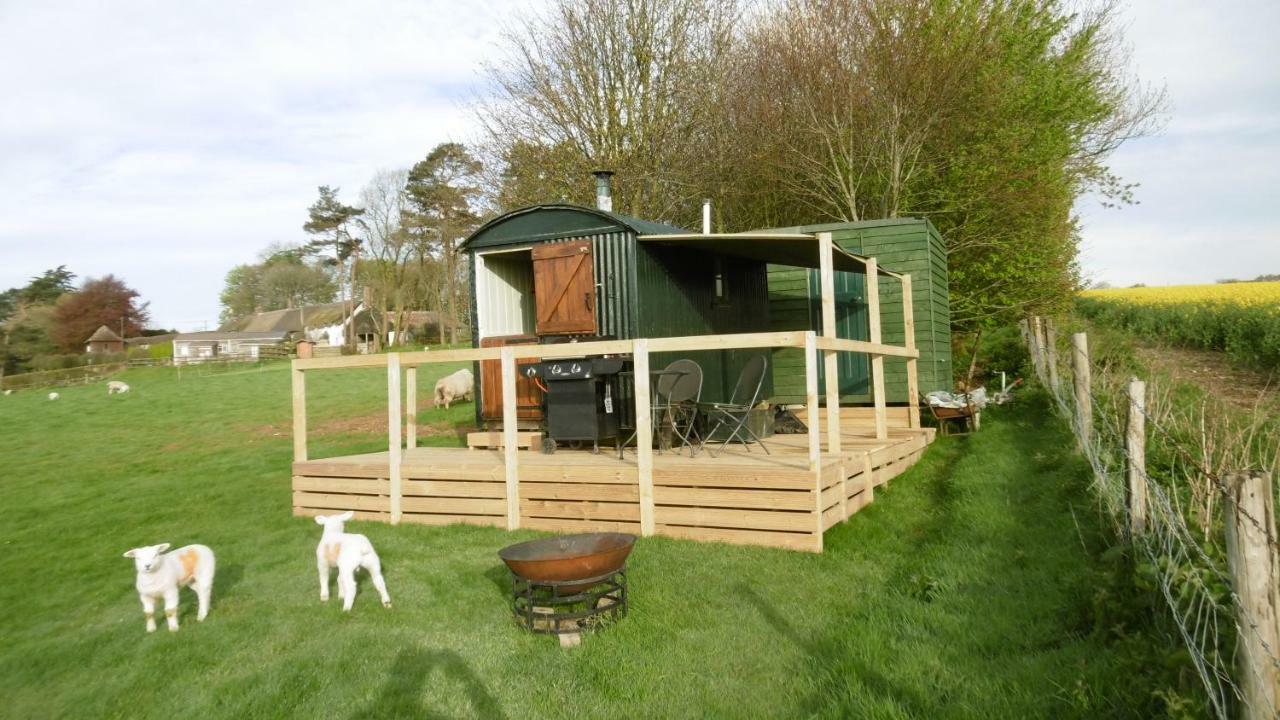 Shepherd'S Hut Hotel Blandford Forum Exterior photo