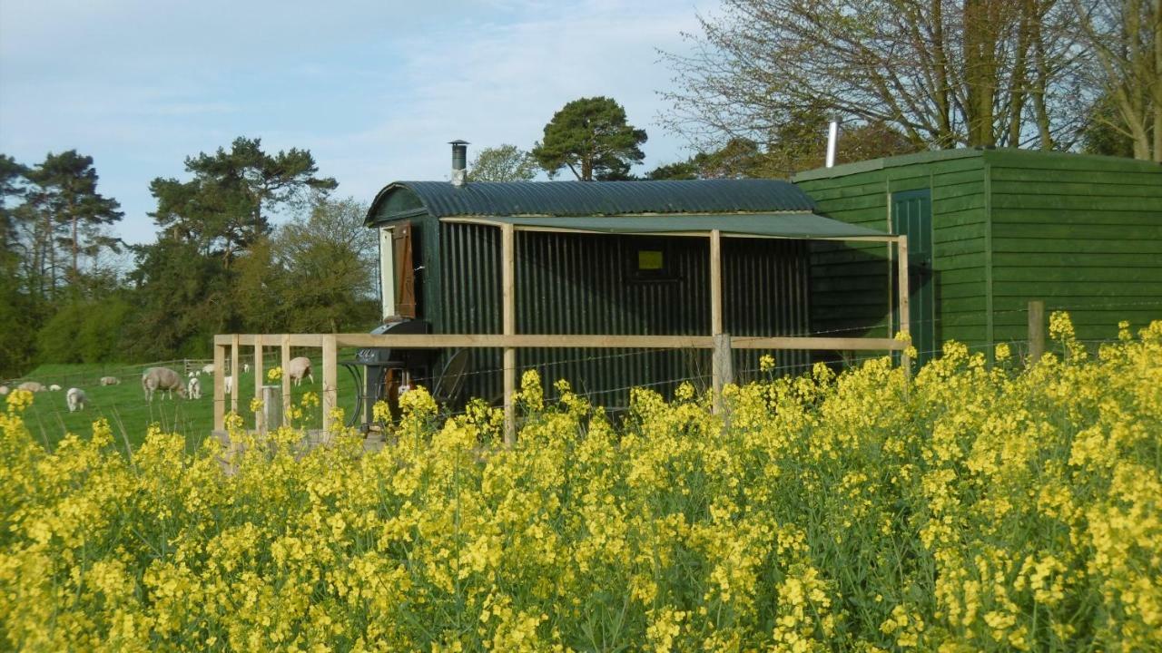 Shepherd'S Hut Hotel Blandford Forum Exterior photo